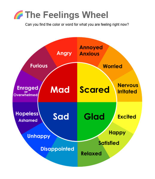 Graphic with 2 concentric circles with colors and emotions